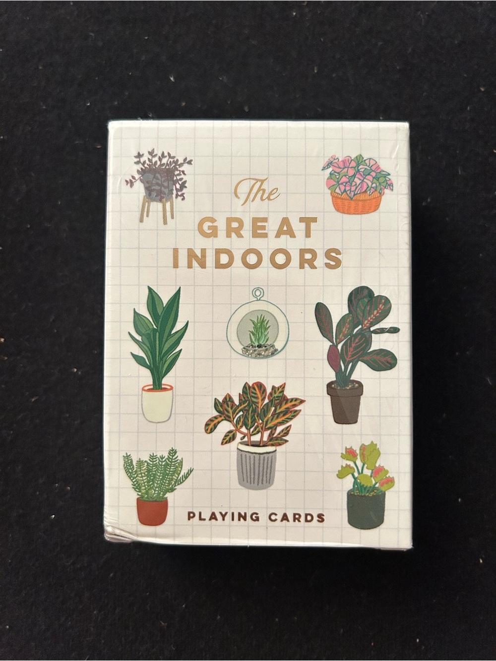 “The Great Indoors” Playing Cards, Brand New